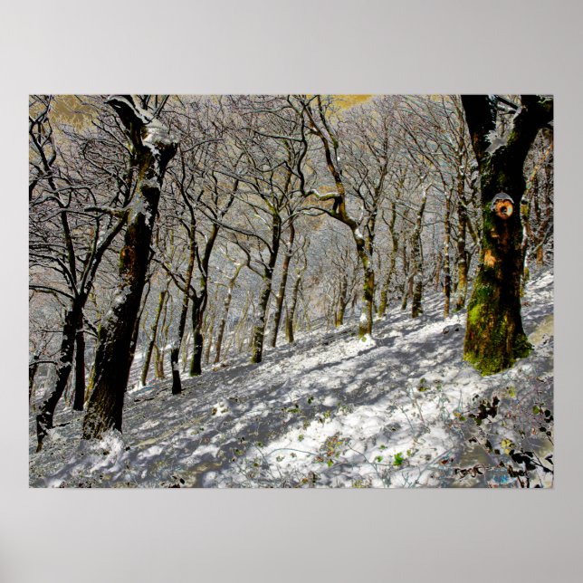 Macclesfield Forest Winter Card Acrylic Print (Front)