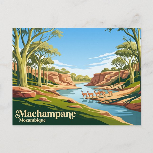 Machampane Wilderness Mozambique Postcard (Front)