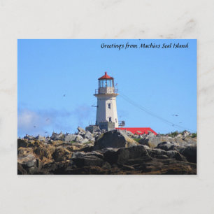 Machias Seal Island Lighthouse Postcard