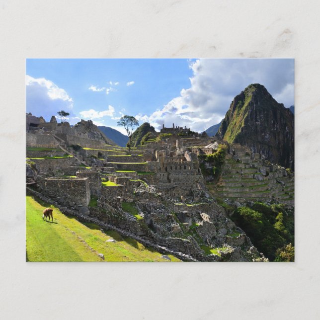 Machu Picchu Afternoon, Peru Postcard (Front)
