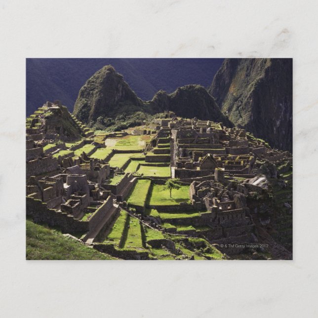 Machu Picchu, Peru Postcard (Front)