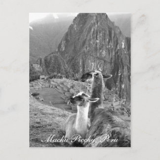 Machu Picchu Peru Postcard