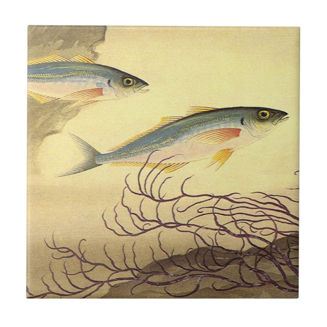 Mackerel Fish Swimming in the Ocean Ceramic Tile (Front)