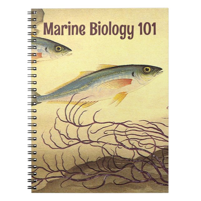 Mackerel Fish Swimming in the Ocean Notebook (Front)
