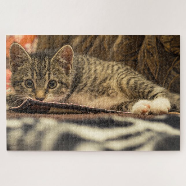 mackerel kitten puzzle (Horizontal)