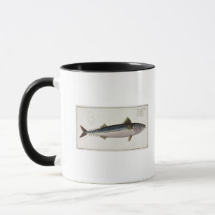 Mackerel (Scomber Scomber) plate LIV from 'Ichthyo Mug