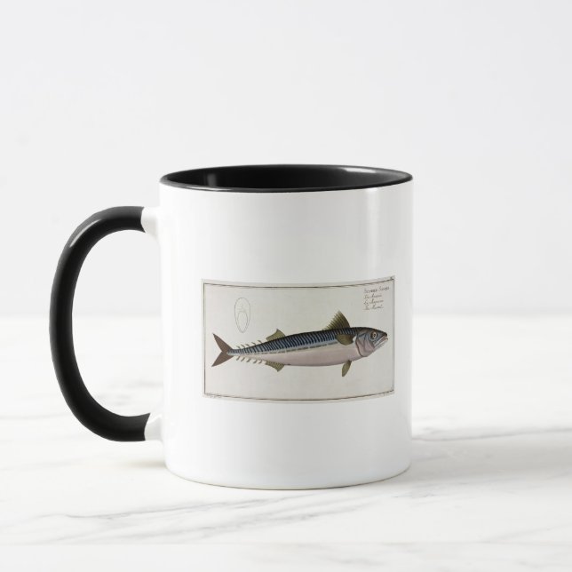 Mackerel (Scomber Scomber) plate LIV from 'Ichthyo Mug (Left)