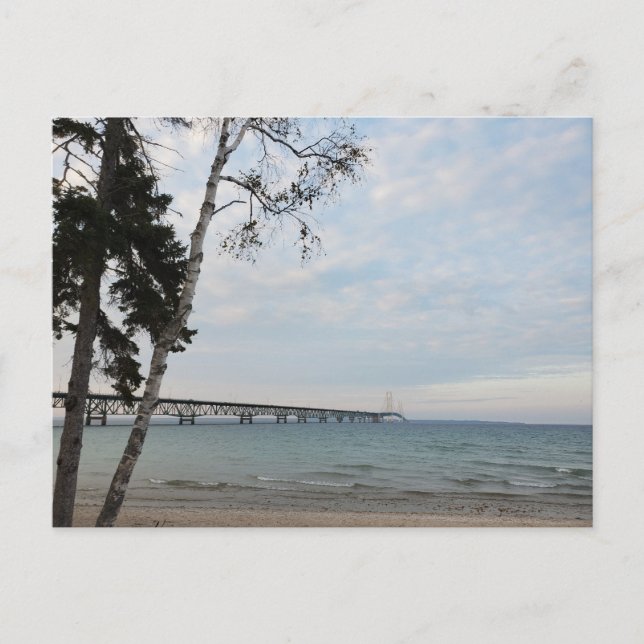 Mackinac Bridge, Michigan Postcard (Front)
