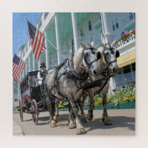 Mackinac Island Carriage Ride - 20x20 - 676 pc Jigsaw Puzzle