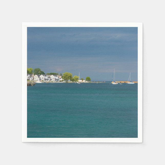 Mackinac Island Harbour Napkin (Front)