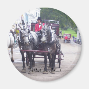 Mackinaw Island Series Magnet