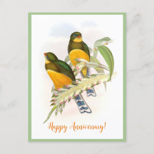 Macklot’s Trogon (1850-1883) Postcard