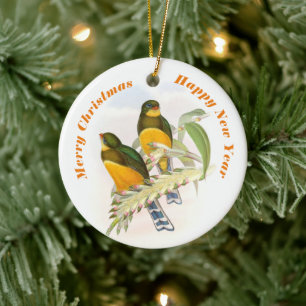 Macklot’s Trogon, Tree Ornament
