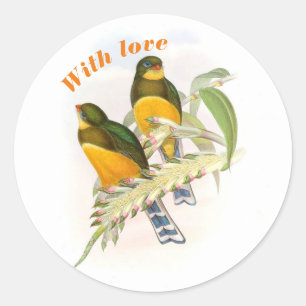 Macklot’s Trogon, With love   Classic Round Sticker
