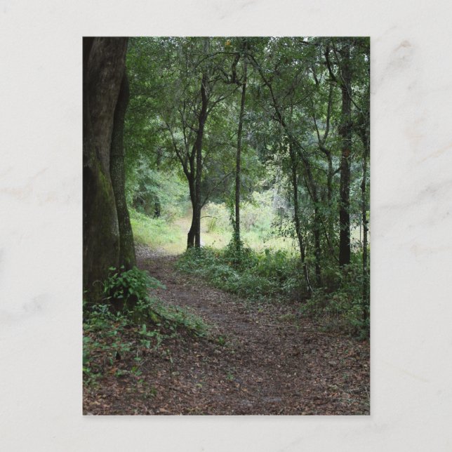 Maclay Gardens Postcard (Front)