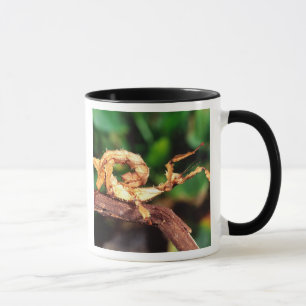 Macleay's Spectre (Spiney Stick Insect), Mug