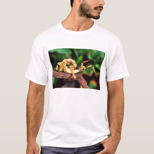 Macleay's Spectre (Spiney Stick Insect), T-Shirt (Front)
