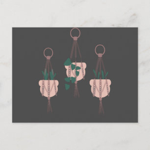 Macrame Plant Hanger Planter Pots Illustration Postcard