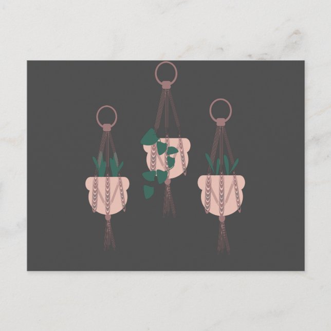 Macrame Plant Hanger Planter Pots Illustration Postcard (Front)