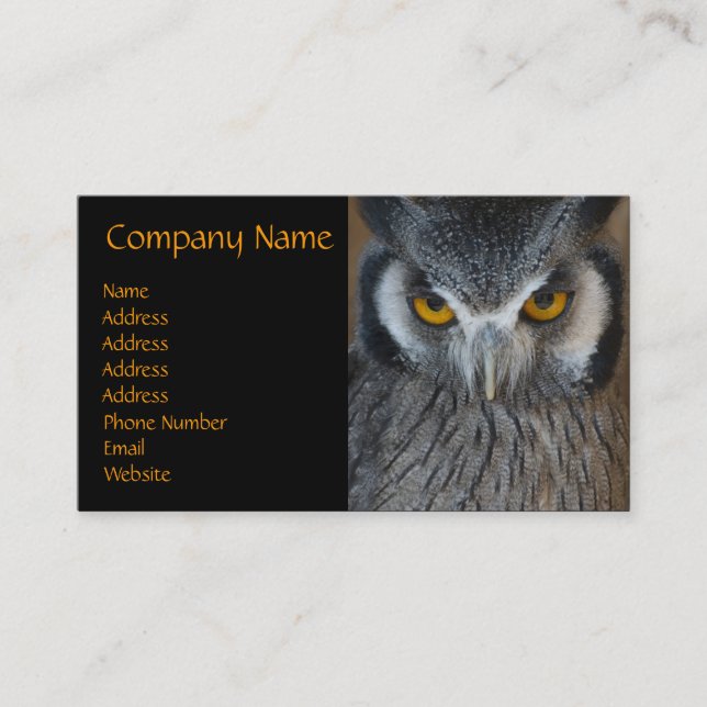 Macro Black and White Owl Business Card (Front)