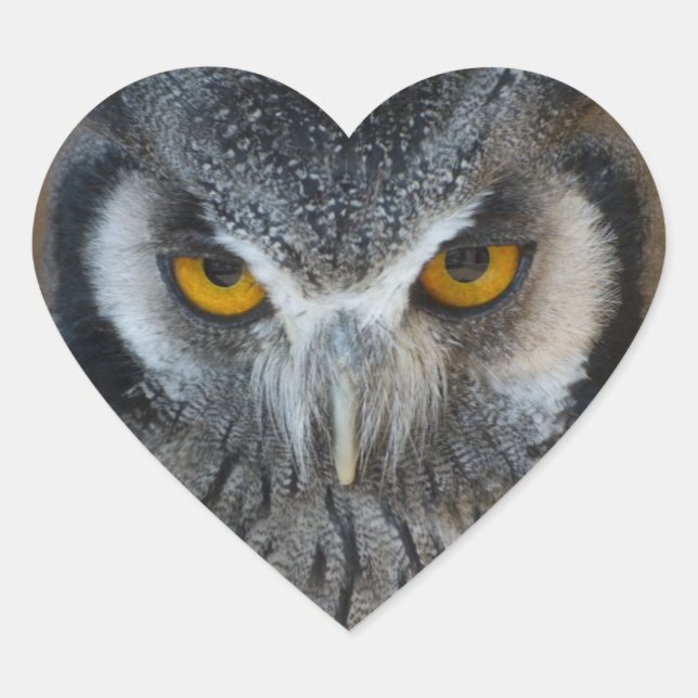 Macro Black and White Owl Heart Sticker (Front)
