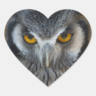 Macro Black and White Owl Heart Sticker