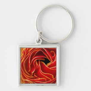 Macro flower abstract at Flower Fields Key Ring