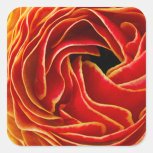 Macro flower abstract at Flower Fields Square Sticker