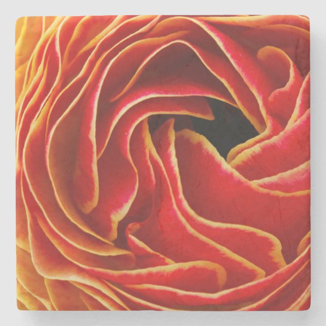 Macro flower abstract at Flower Fields Stone Coaster (Front)