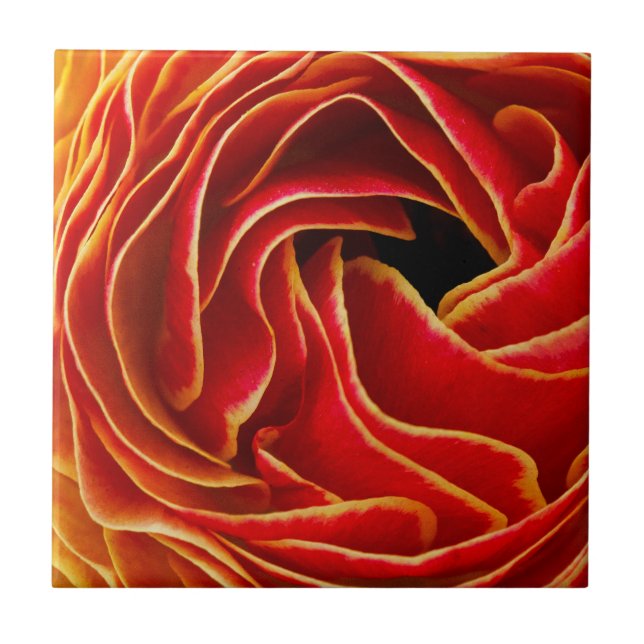 Macro Flower | Flower Fields Carlsbad, CA Ceramic Tile (Front)