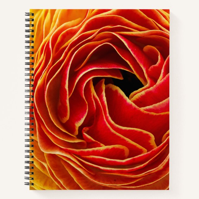 Macro Flower | Flower Fields Carlsbad, CA Notebook (Front)