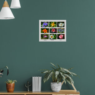 Macro flowers poster