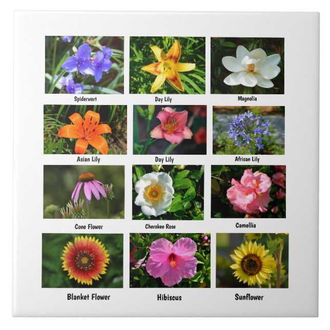 Macro flowers poster ceramic tile (Front)