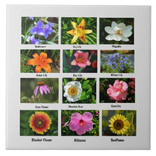 Macro flowers poster ceramic tile