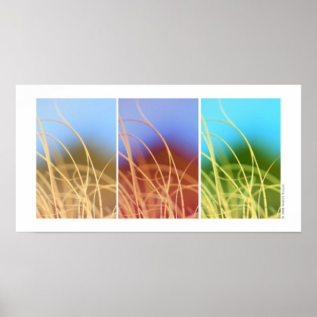 Macro Grass Trio Poster (Front)