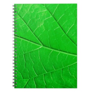 Macro green leaf ecology plant background notebook