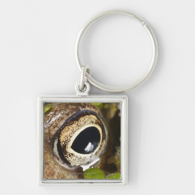 Macro; Horizontal; Colour; Colour; Nobody Key Ring (Front)
