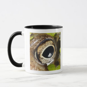 Macro; Horizontal; Colour; Colour; Nobody Mug