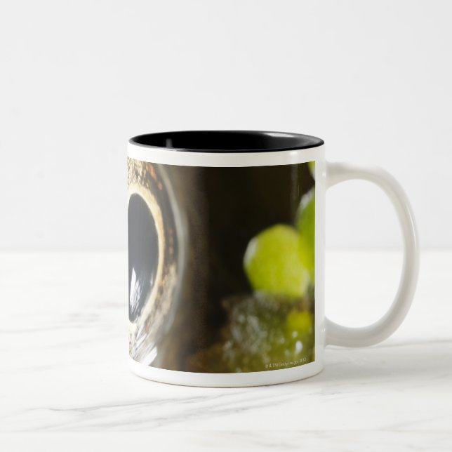 Macro; Horizontal; Colour; Colour; Nobody Two-Tone Coffee Mug (Right)