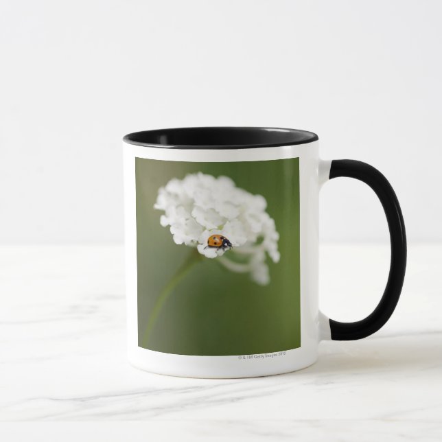 Macro image of a Ladybird on a wild flower Mug (Right)