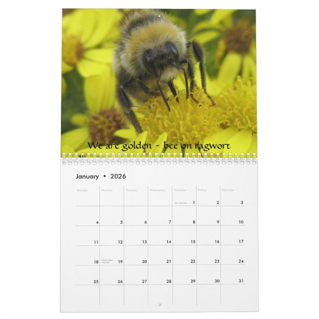 Macro Insects Calendar (Jan 2026)