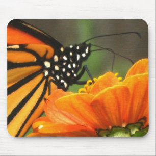 MACRO MONARCH mousepad