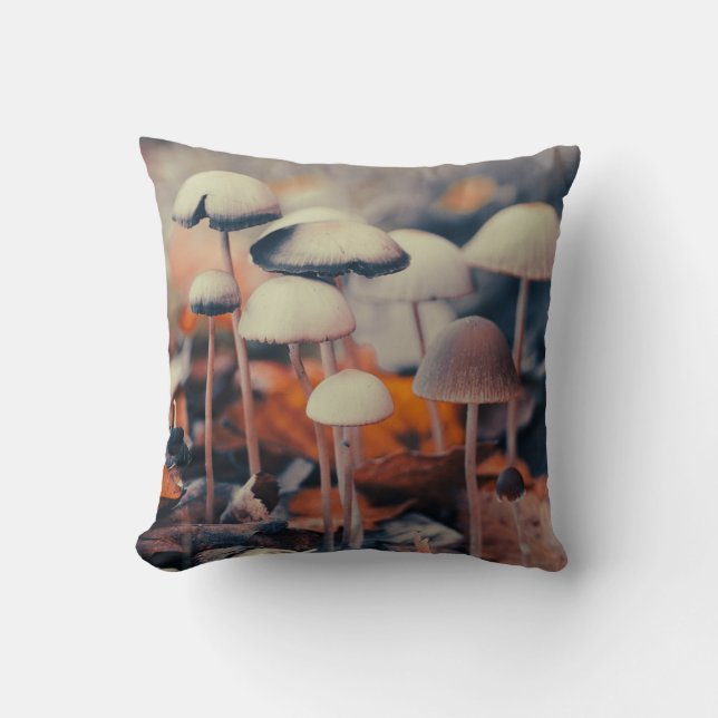 Macro Mushrooms Acrylic Print Cushion (Front)