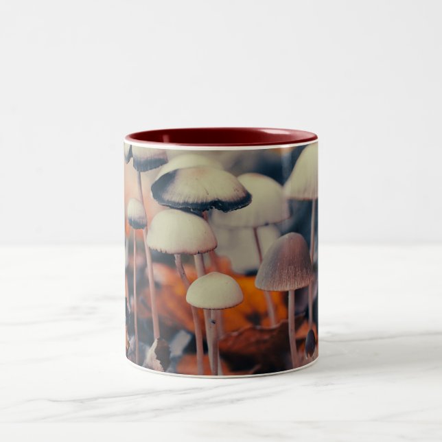 Macro Mushrooms Two-Tone Coffee Mug (Center)