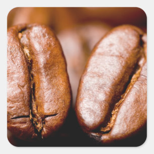 Macro of coffee beans square sticker