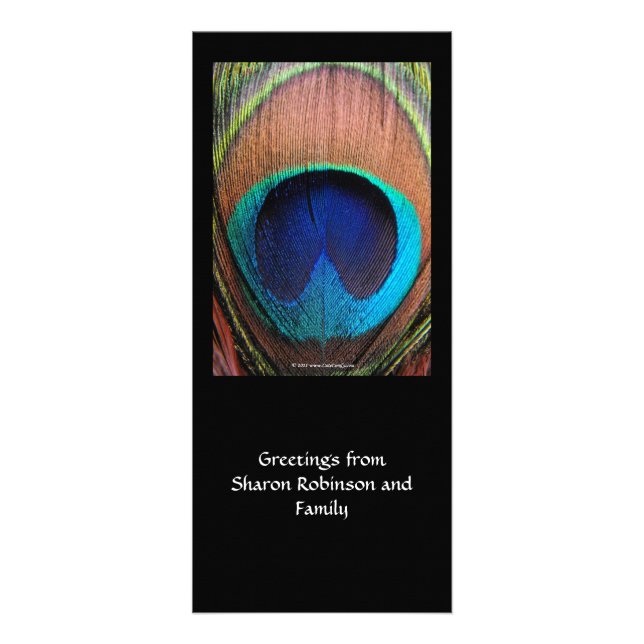 Macro Peacock Feather Rich Blues Photographic Rack Card (Front)