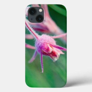 Macro photo of prairie flowers in Montana iPhone 13 Case
