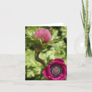 Macro photo unique bold pink flower on blank card