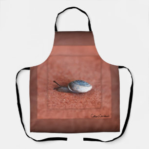 Macro Photograph of Snail on Terracotta Apron