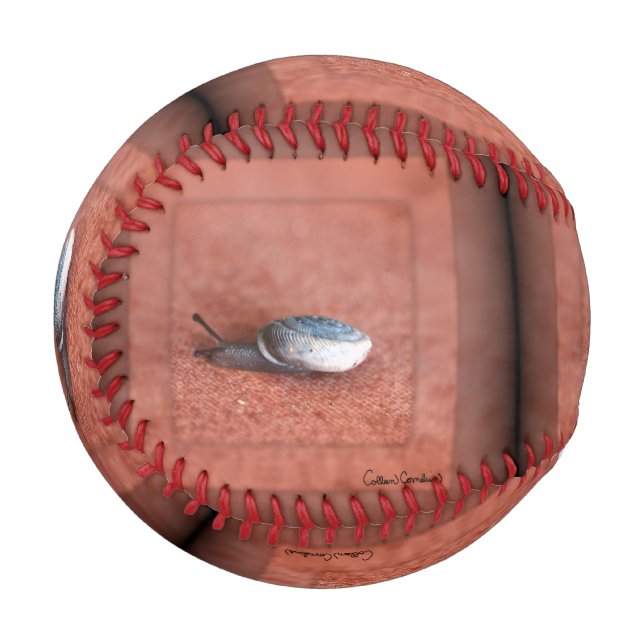 Macro Photograph of Snail on Terracotta Baseball (Back Right)